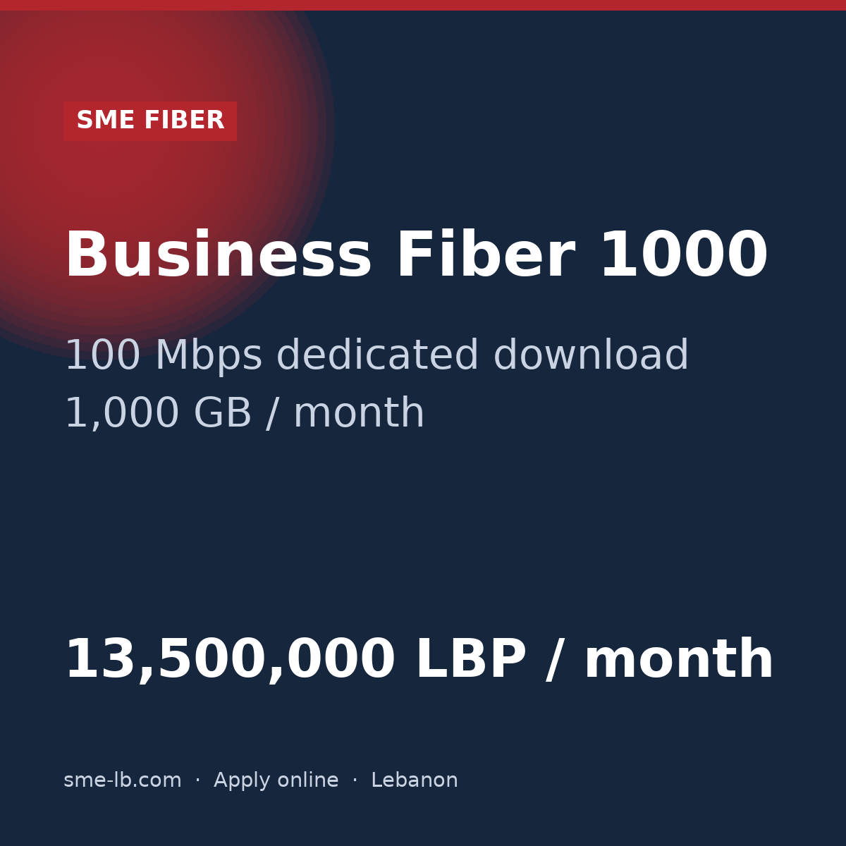 Business Fiber 1000 — SME FIBER plan card: 100 Mbps dedicated, 1,000 GB, 13,500,000 LBP per month