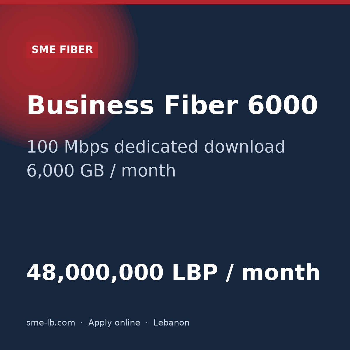 Business Fiber 6000 — SME FIBER plan card: 100 Mbps dedicated, 6,000 GB, 48,000,000 LBP per month