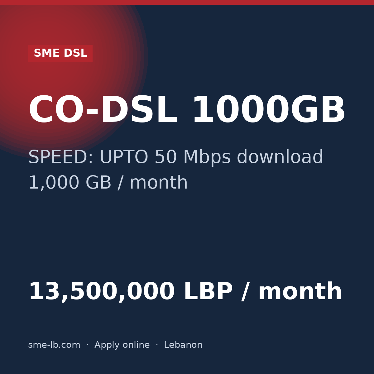 CO-DSL 1000GB — SME DSL plan card: SPEED: UPTO 50 Mbps, 1,000 GB, 13,500,000 LBP per month