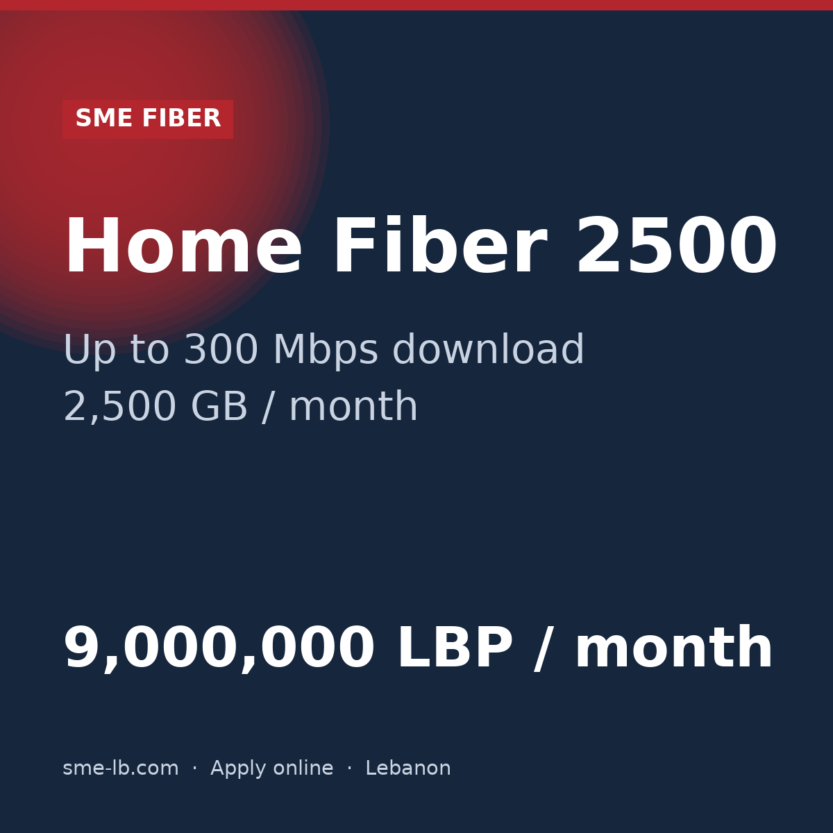 Home Fiber 2500 — SME FIBER plan card: Up to 300 Mbps, 2,500 GB, 9,000,000 LBP per month